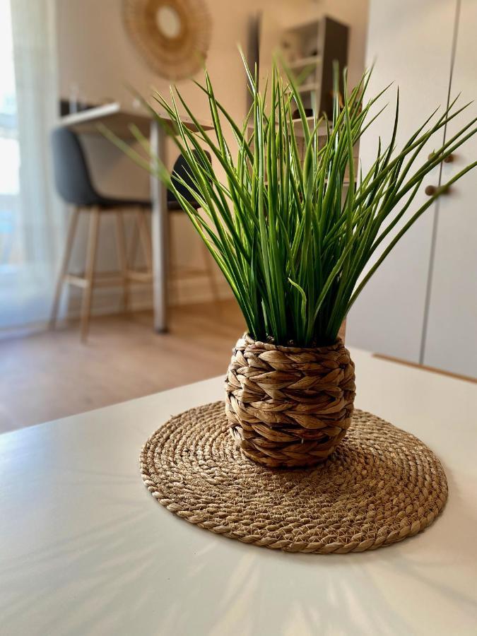 Cosy Break Jardins Des Plantes Apartment Le Mans Exterior foto